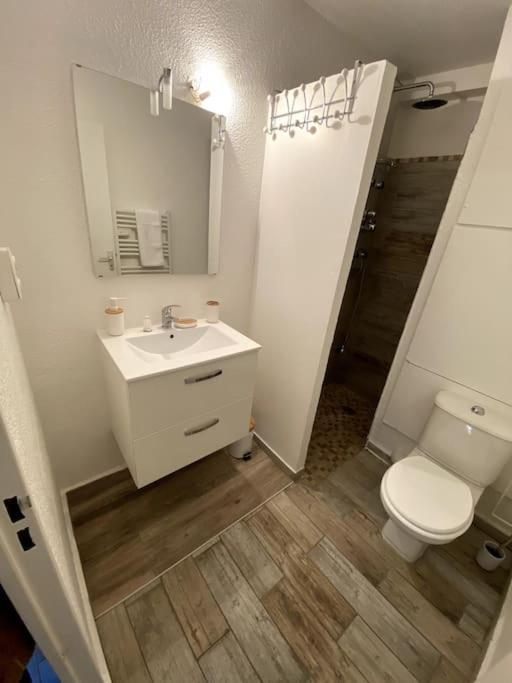 Studio Cabine Avec Jardin Apartment Canet-en-Roussillon Exterior photo